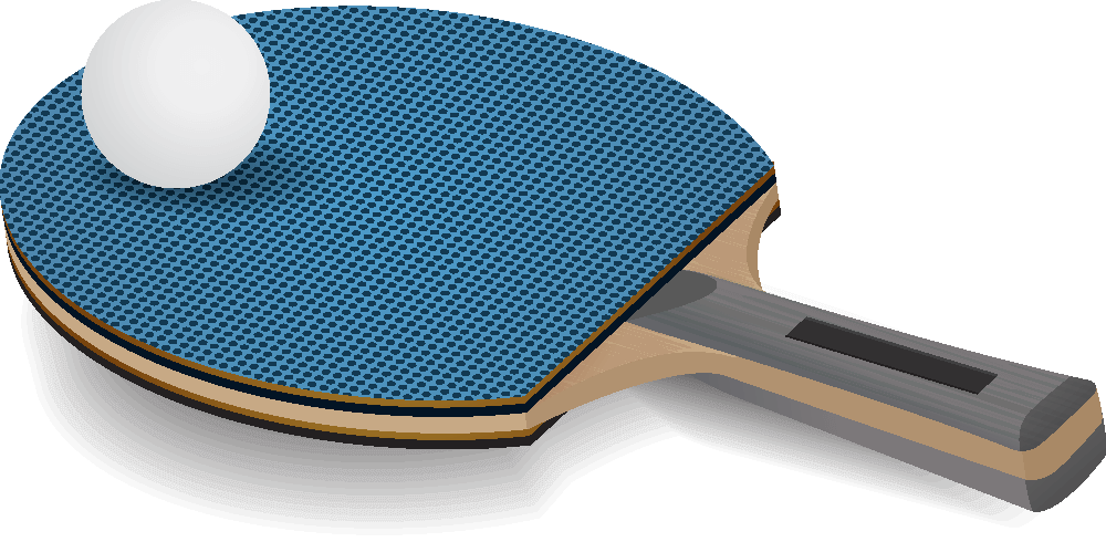Paleta de Ping Pong